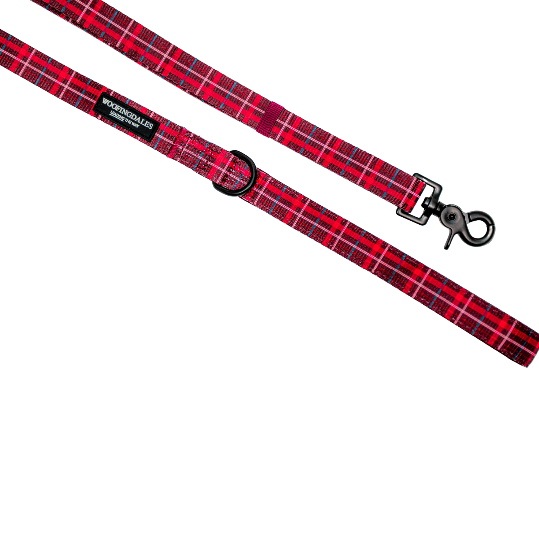 Burgundy Plaid Adjustable Lead