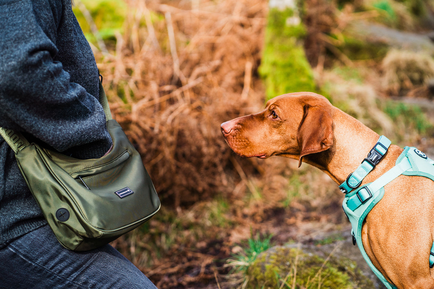 Woofingdales Walking Bag - Green