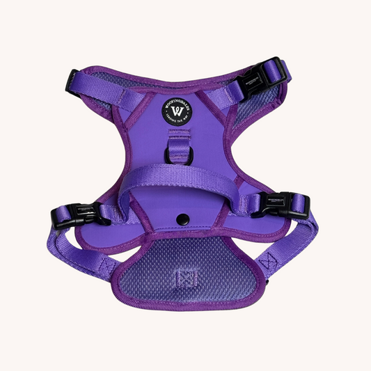 Peak Paws Harness - Violet