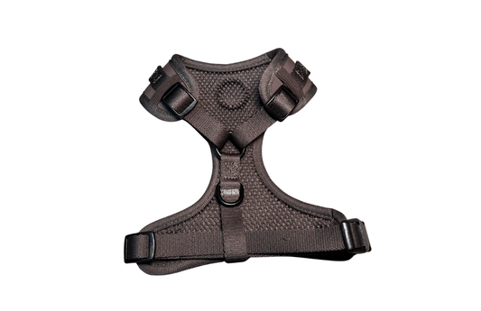 Adjustable Harness - Espresso - Woofingdales.co.uk
