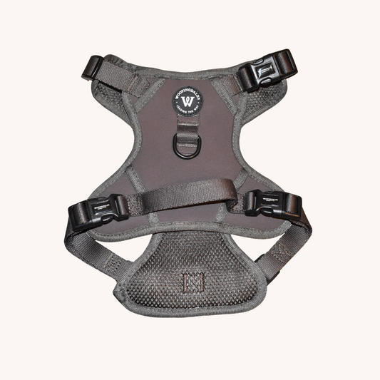 Peak Paws Harness - Espresso
