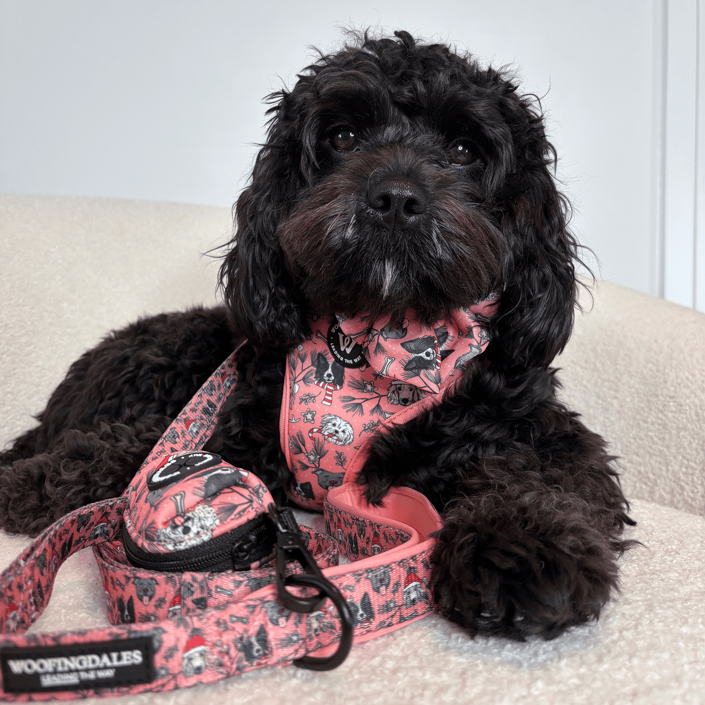 Merry Paws - Adjustable Lead - Woofingdales.co.uk