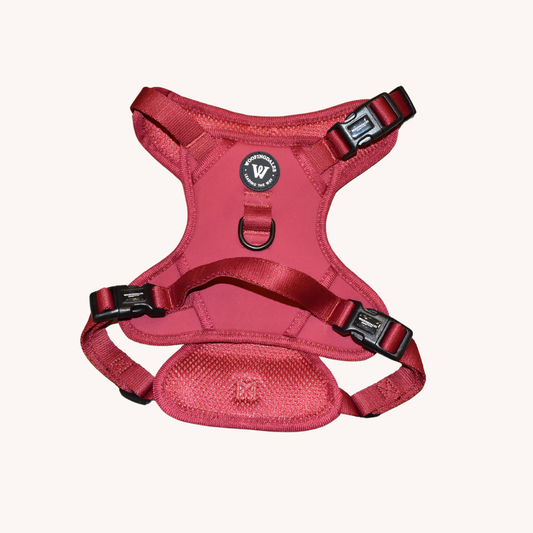 Peak Paws Harness - Burgundy
