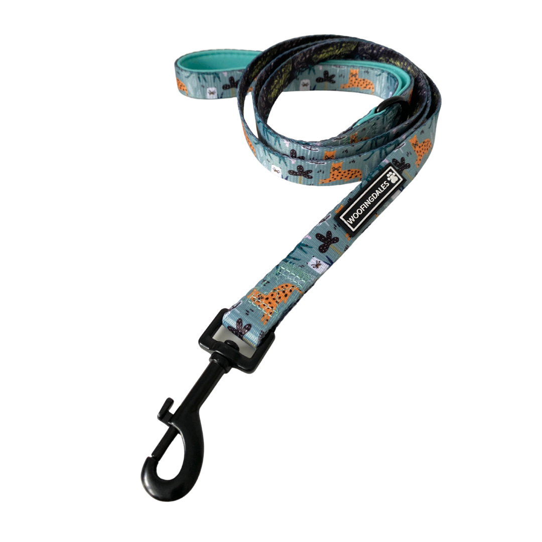 Summer In The Jungle Lead