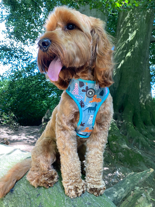 Summer In The Jungle Reversible Harness
