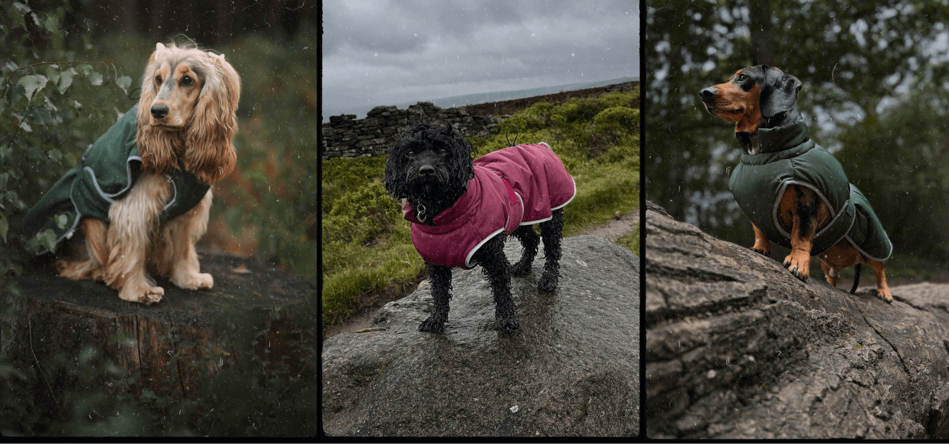 Dog Wear - Woofingdales.co.uk