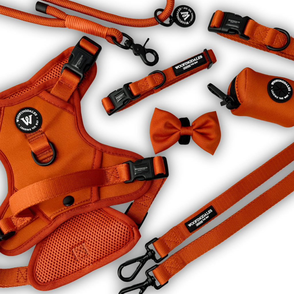 Burnt Orange - Woofingdales.co.uk