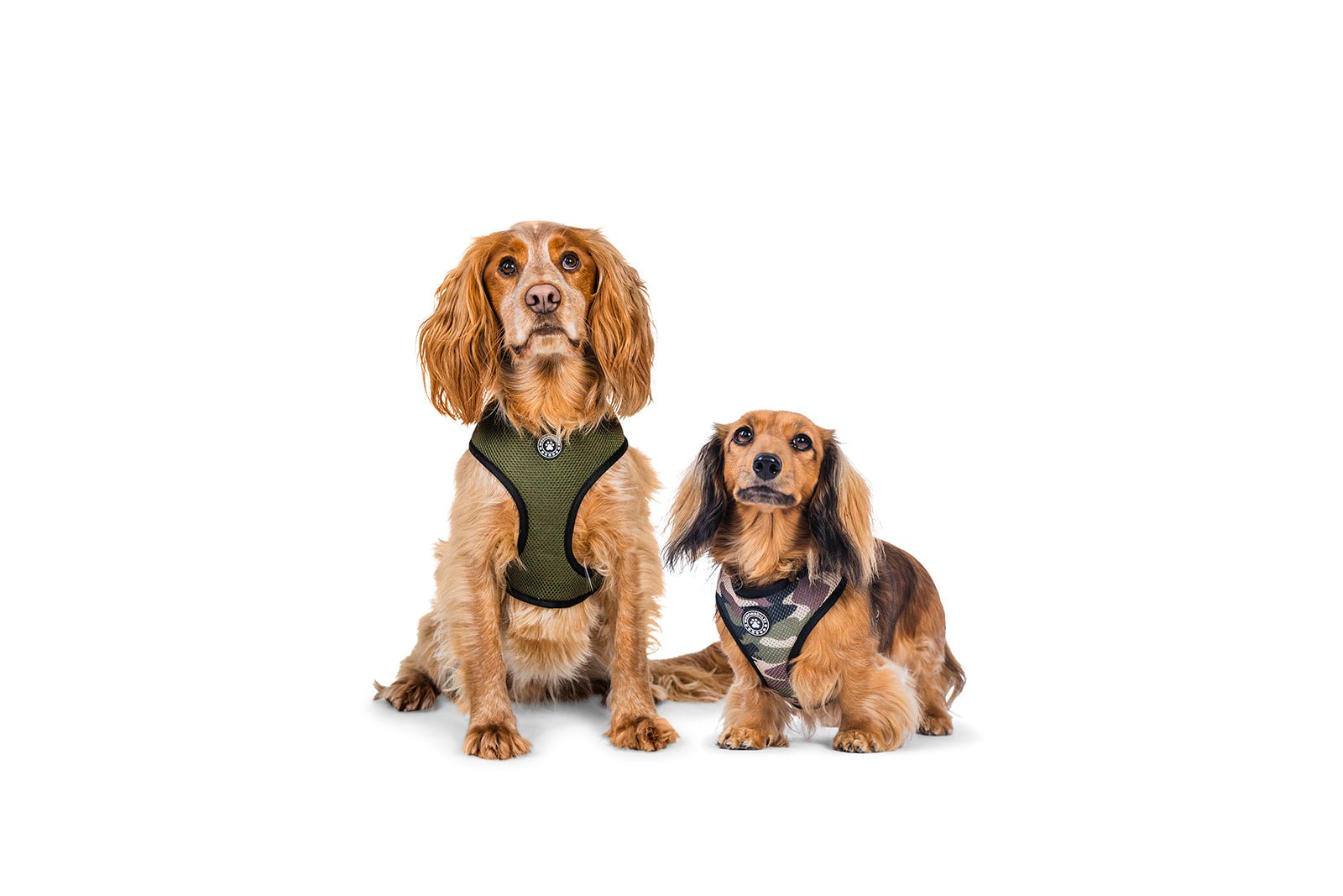 Camo Print - Woofingdales.co.uk