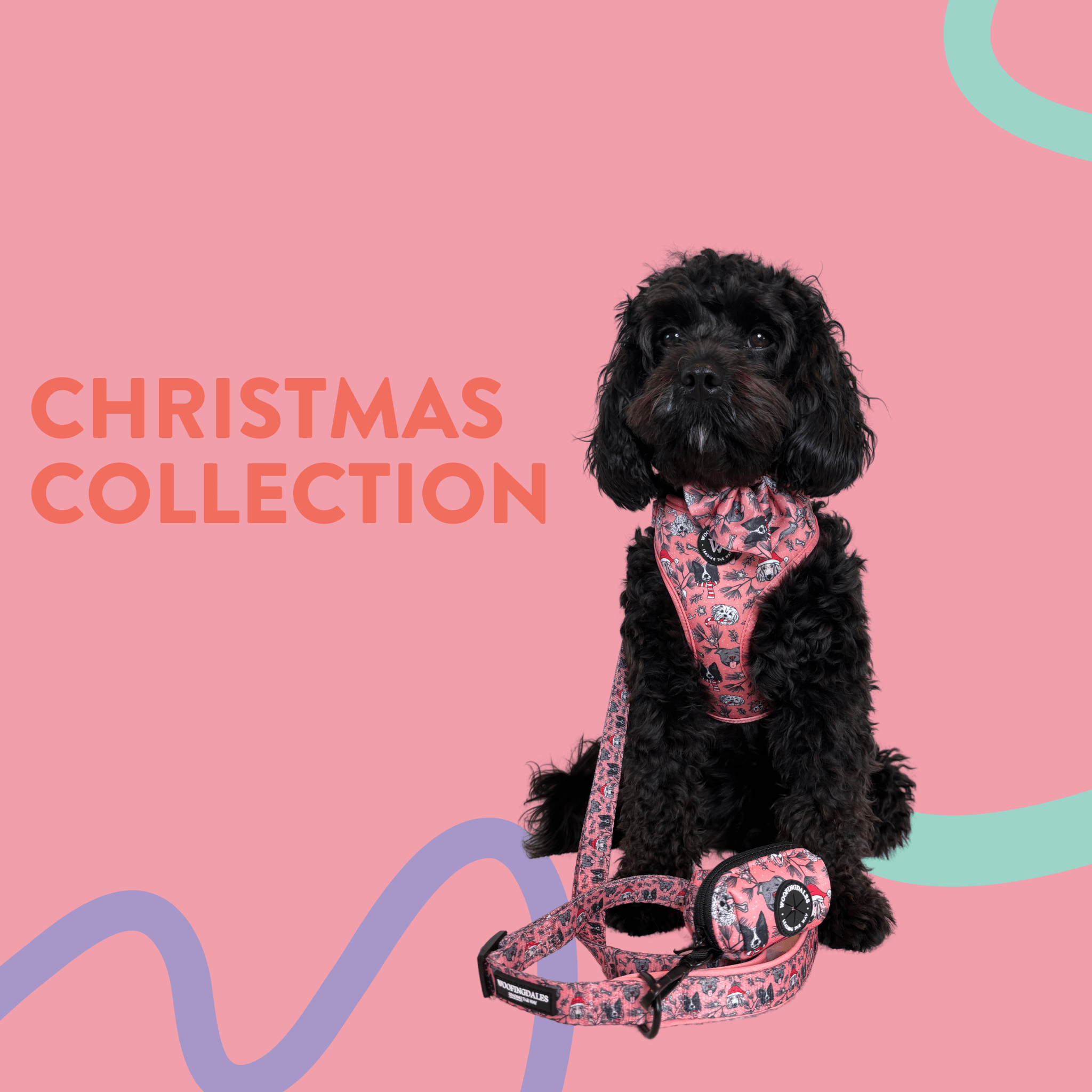 Christmas Collection - Woofingdales.co.uk