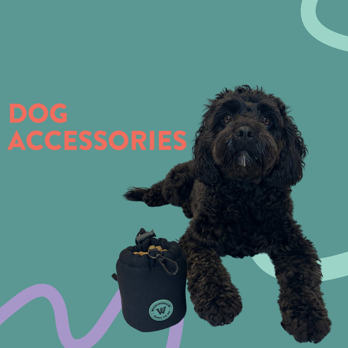 Dog Accessories - Woofingdales.co.uk