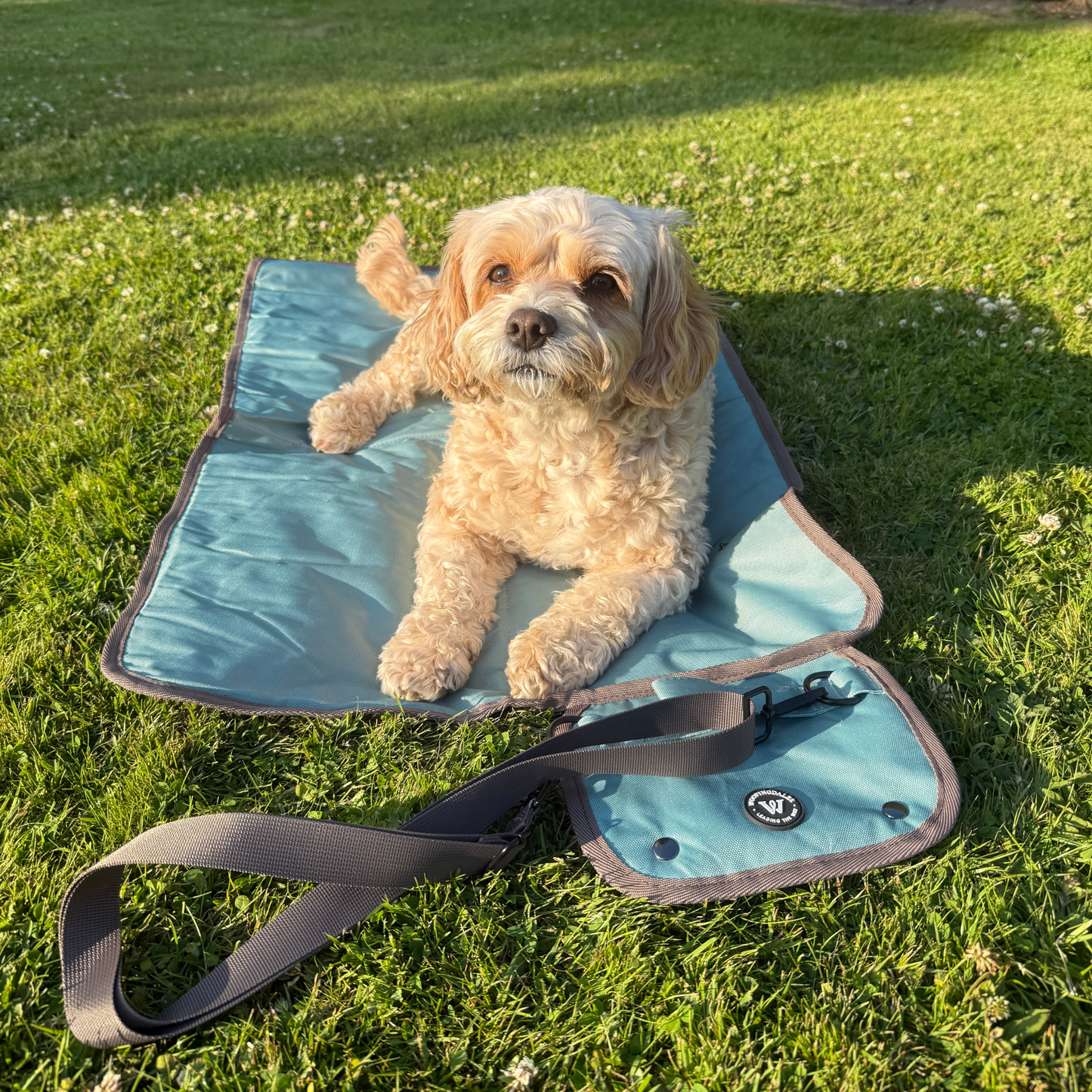 Green & Espresso - Dog Travel Mat