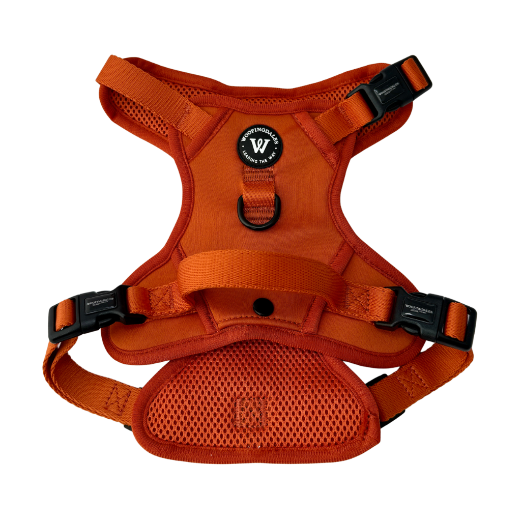 Peak Paws Harness - Burnt Orange