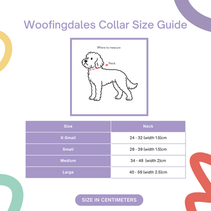 Peak Paws Collar - Burnt Orange