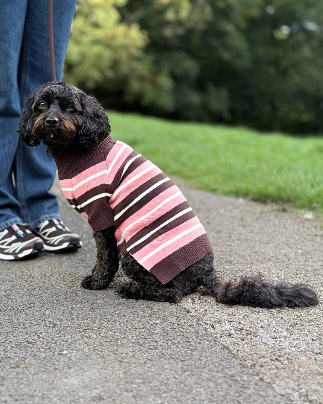 Striped Dog Jumper -  Matching Dog & Owner Outfit