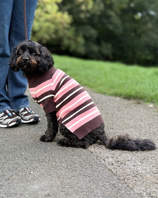 Striped Dog Jumper -  Matching Dog & Owner Outfit
