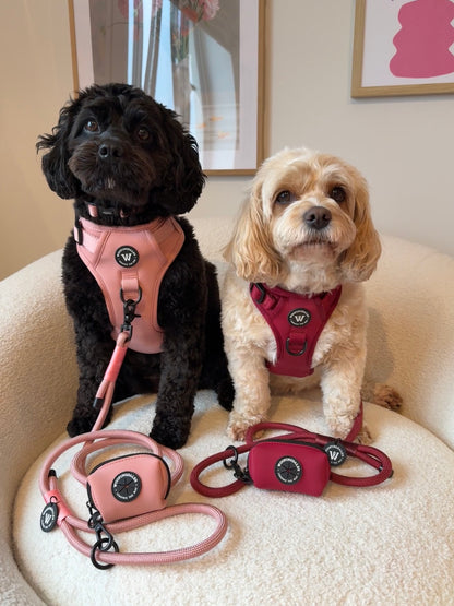 Peak Paws Harness - Burgundy