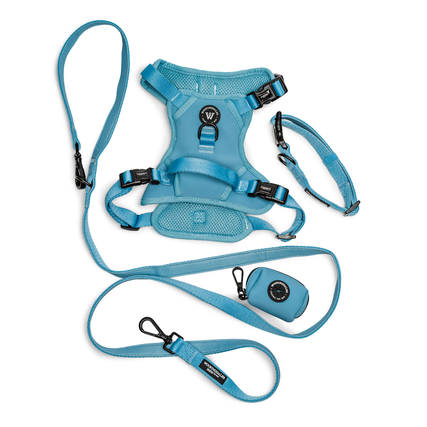 Peak Paws - Blue Harness