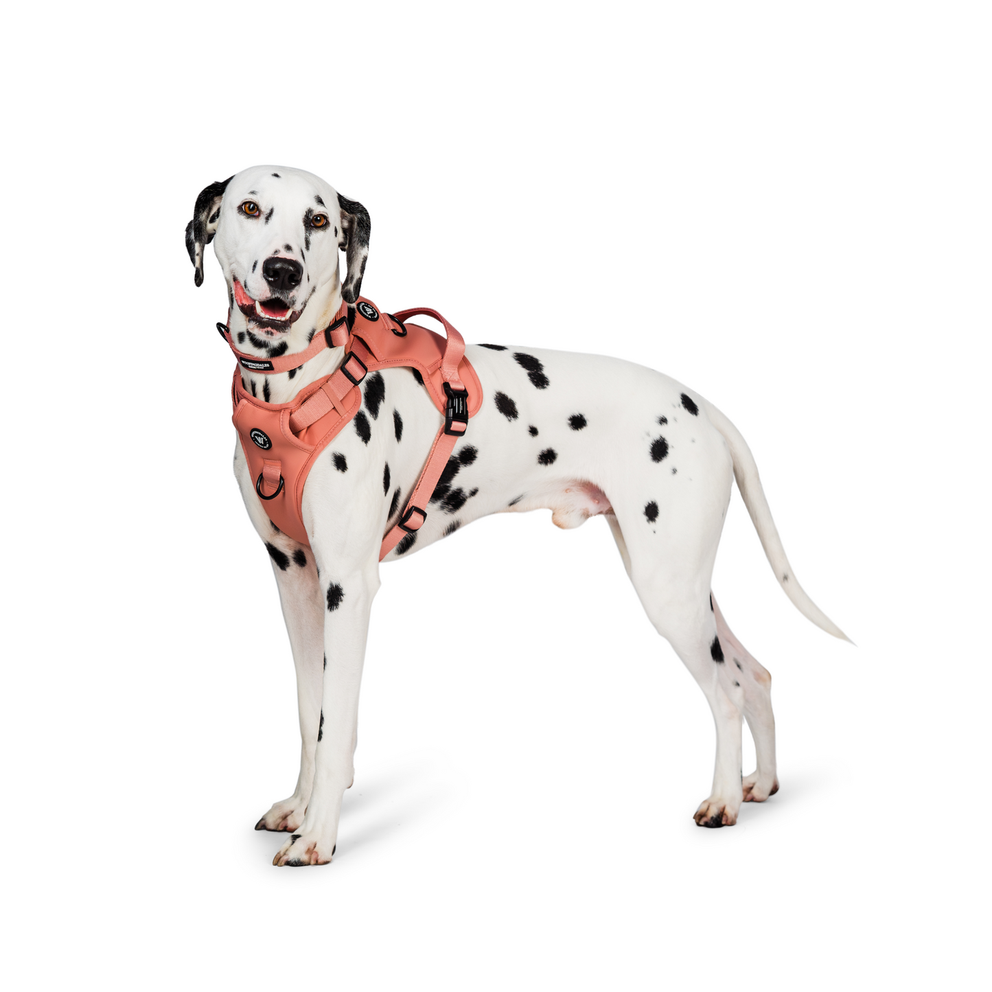 Peak Paws - Dusty Pink Harness