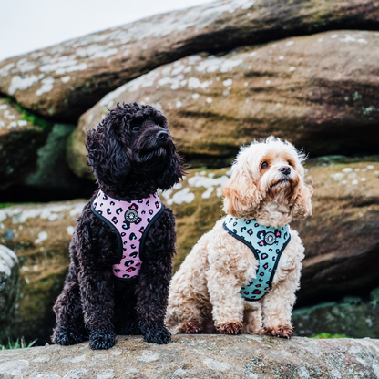 Leopard Reversible Harness