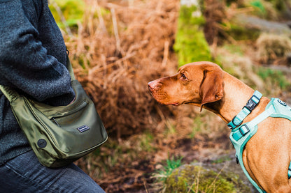 Woofingdales Walking Bag - Green