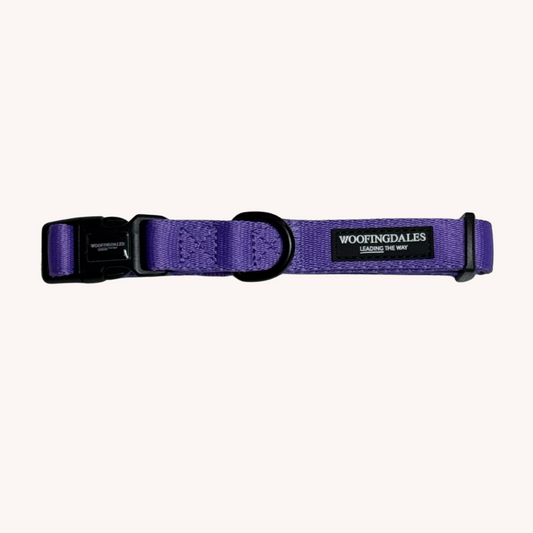 Peak Paws Collar - Violet