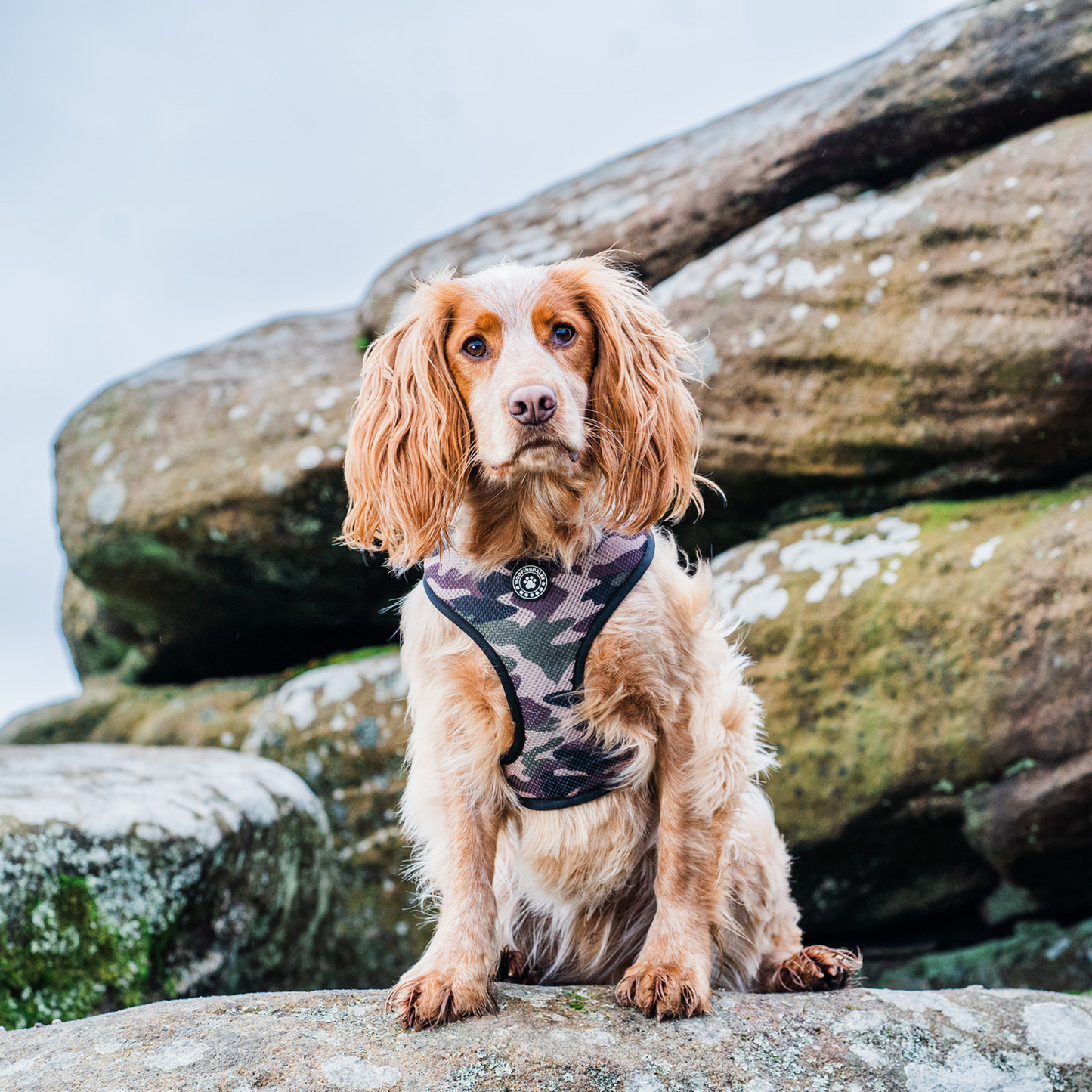 Can't See Me Green Reversible Harness