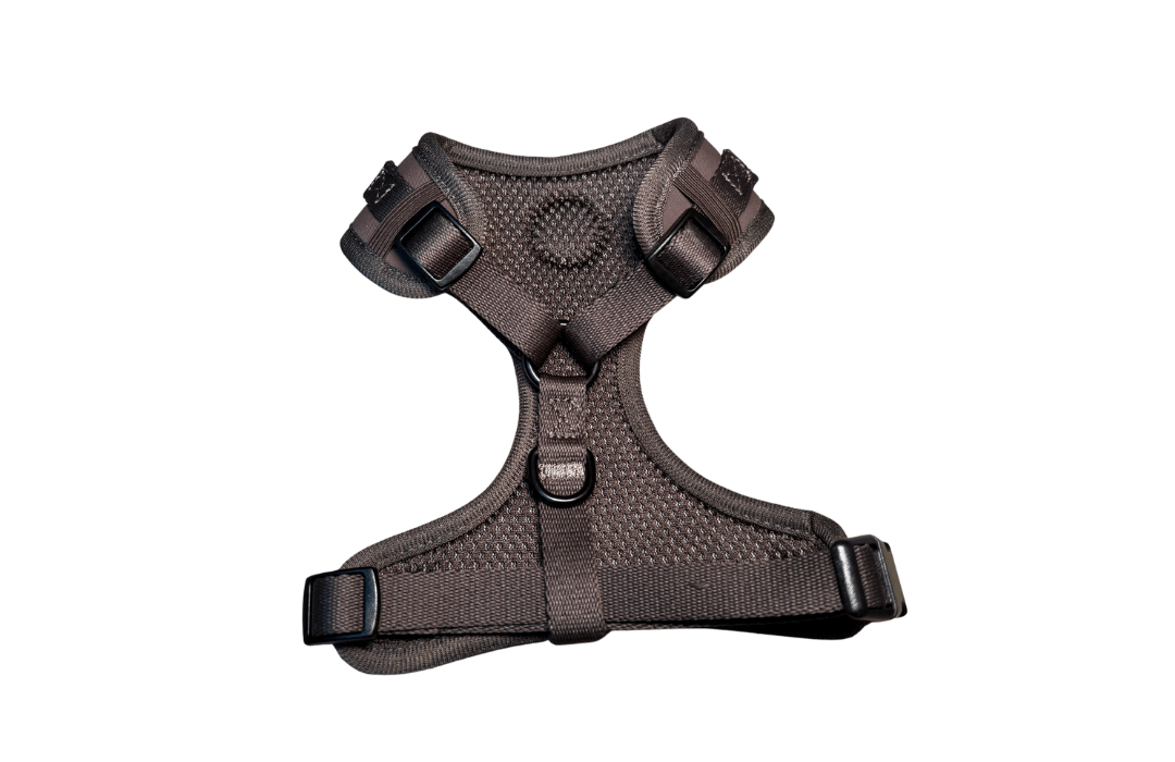 Adjustable Harness - Espresso - Woofingdales.co.uk