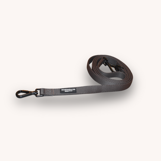 Peak Paws Multiway Lead - Espresso