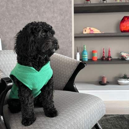 Dog Fleece - Green - Woofingdales.co.uk
