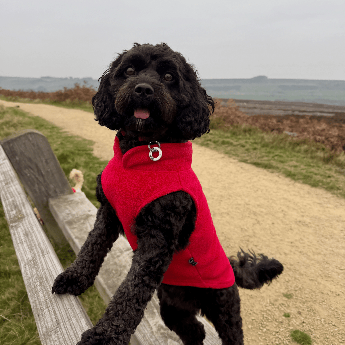 Dog Fleece - Red - Woofingdales.co.uk