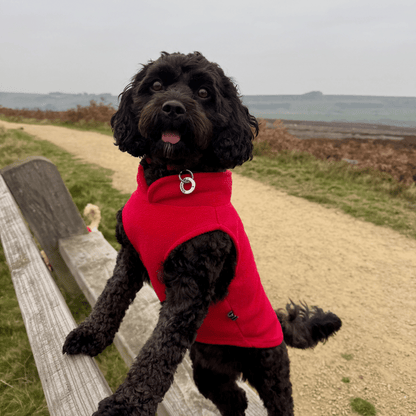 Dog Fleece - Red - Woofingdales.co.uk