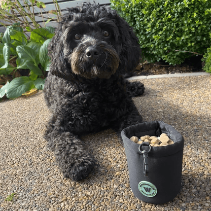 Dog Treat Pouches - Woofingdales.co.uk