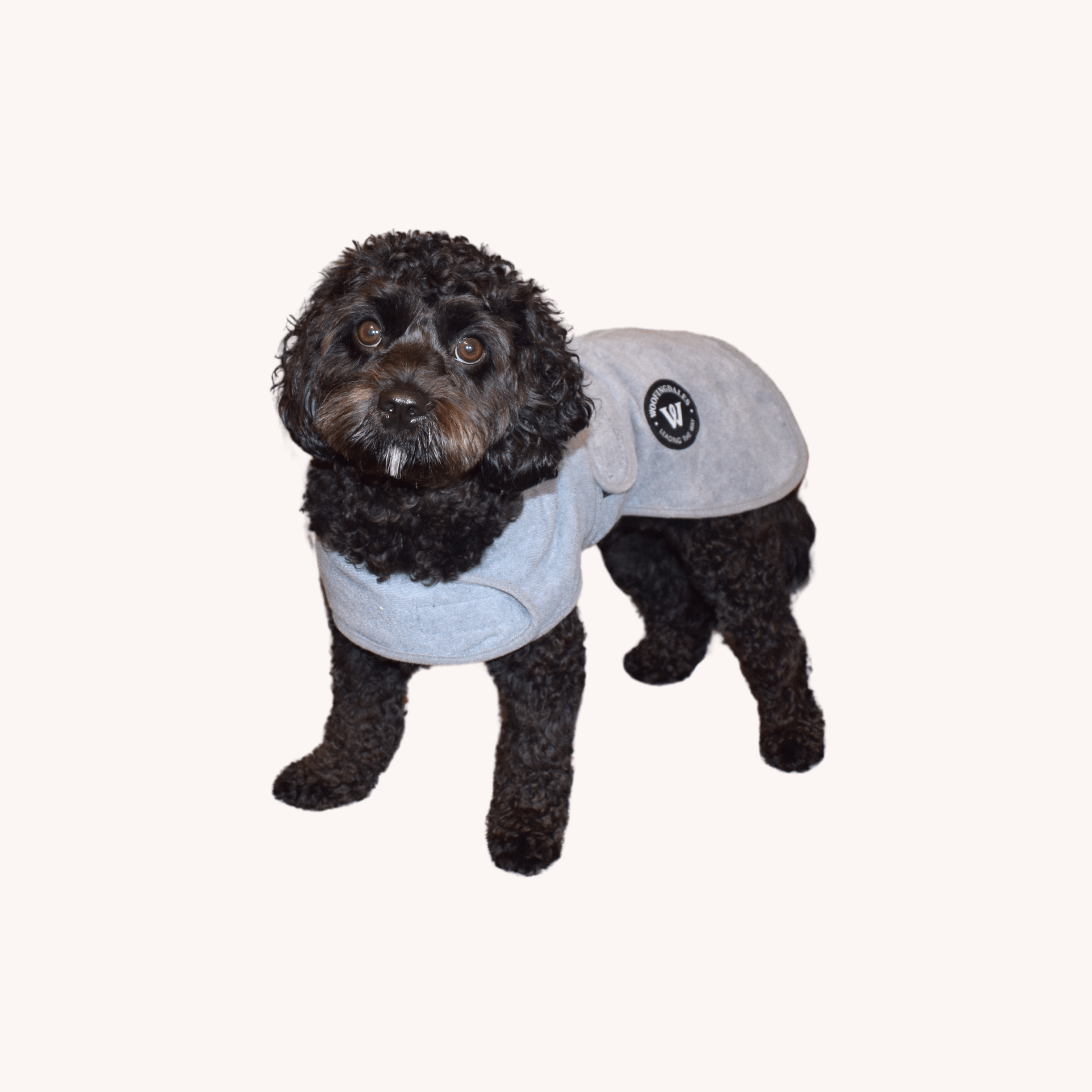 Dry Robe - Grey - Woofingdales.co.uk
