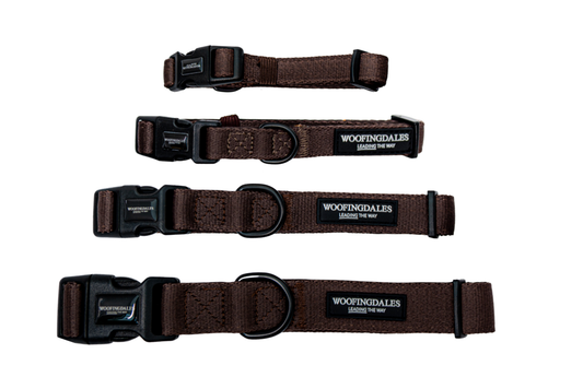 Peak Paws Collar - Espresso
