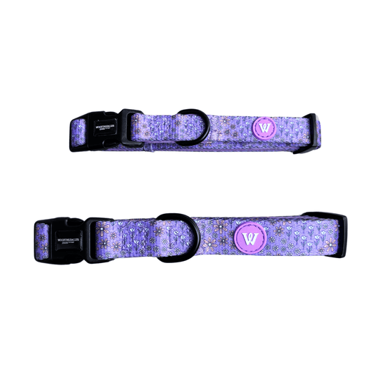 Flower Paws - Collar - Woofingdales.co.uk