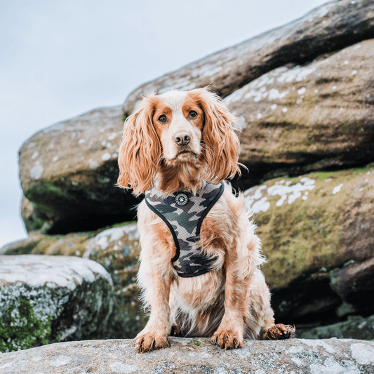 Green Camo Reversible Harness - Woofingdales.co.uk