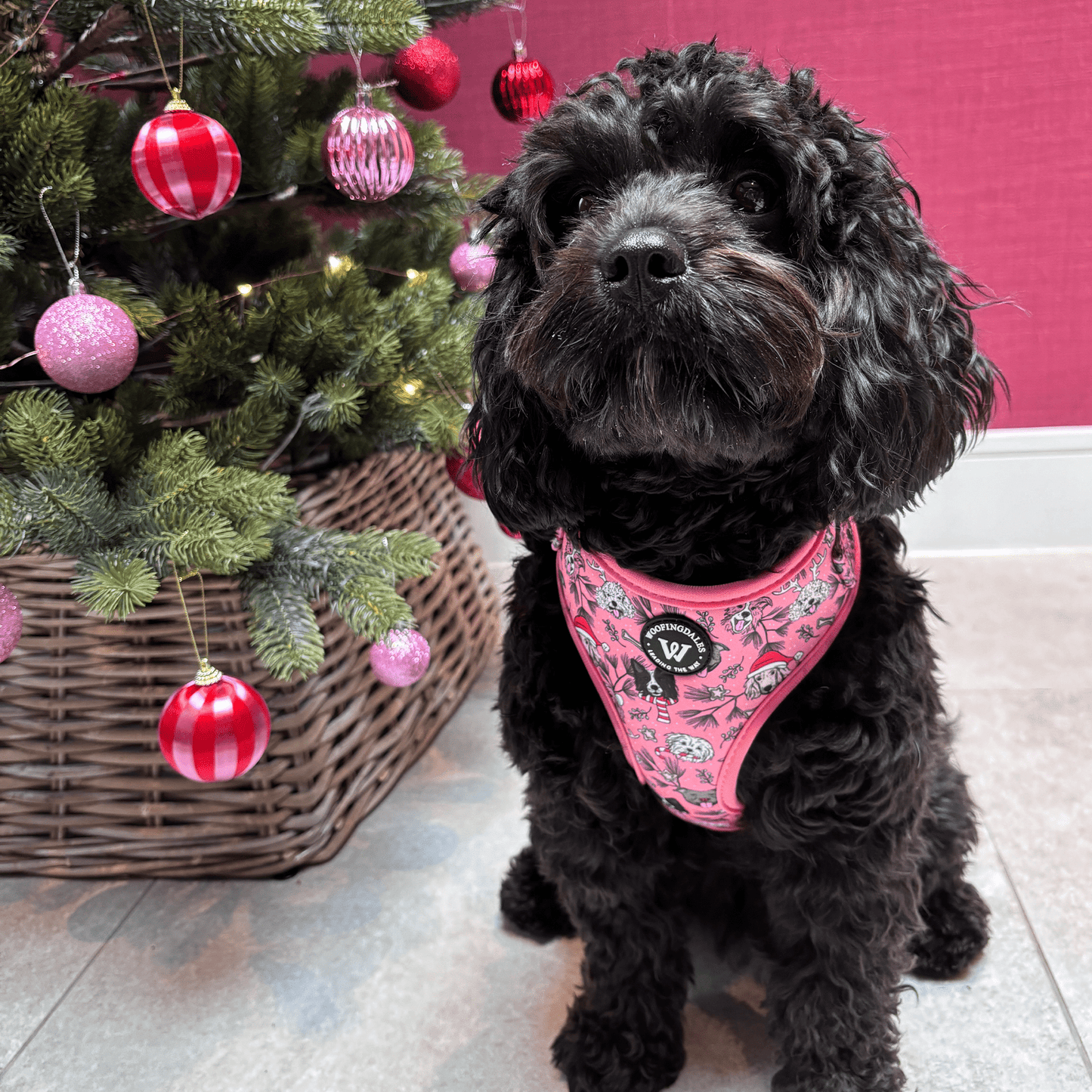 Merry Paws - Adjustable Harness - Woofingdales.co.uk