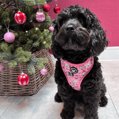 Merry Paws - Adjustable Harness - Woofingdales.co.uk