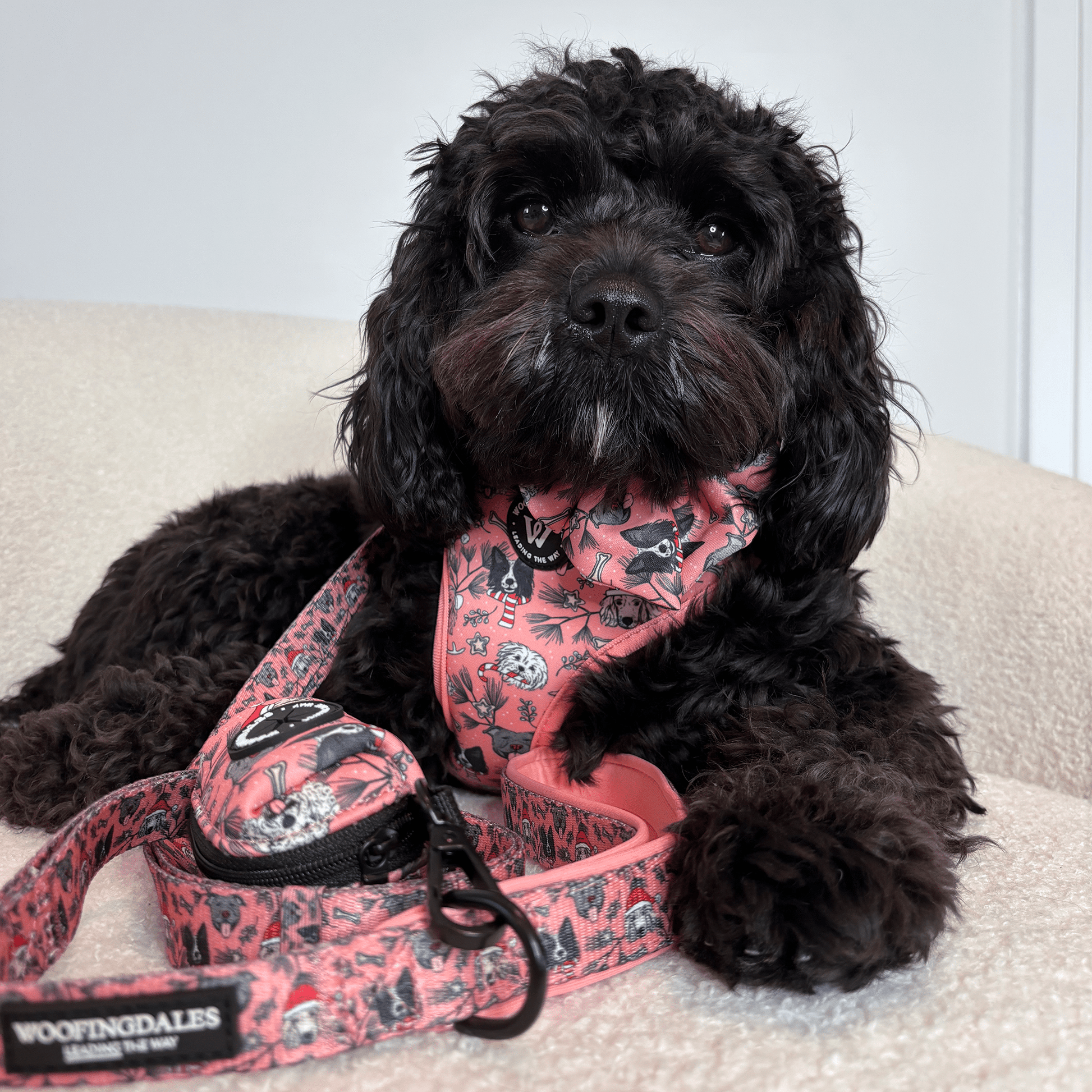 Merry Paws - Adjustable Lead - Woofingdales.co.uk