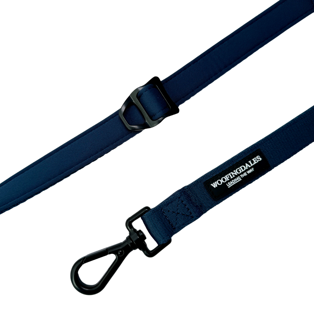 Peak Paws Multiway Lead - French Navy