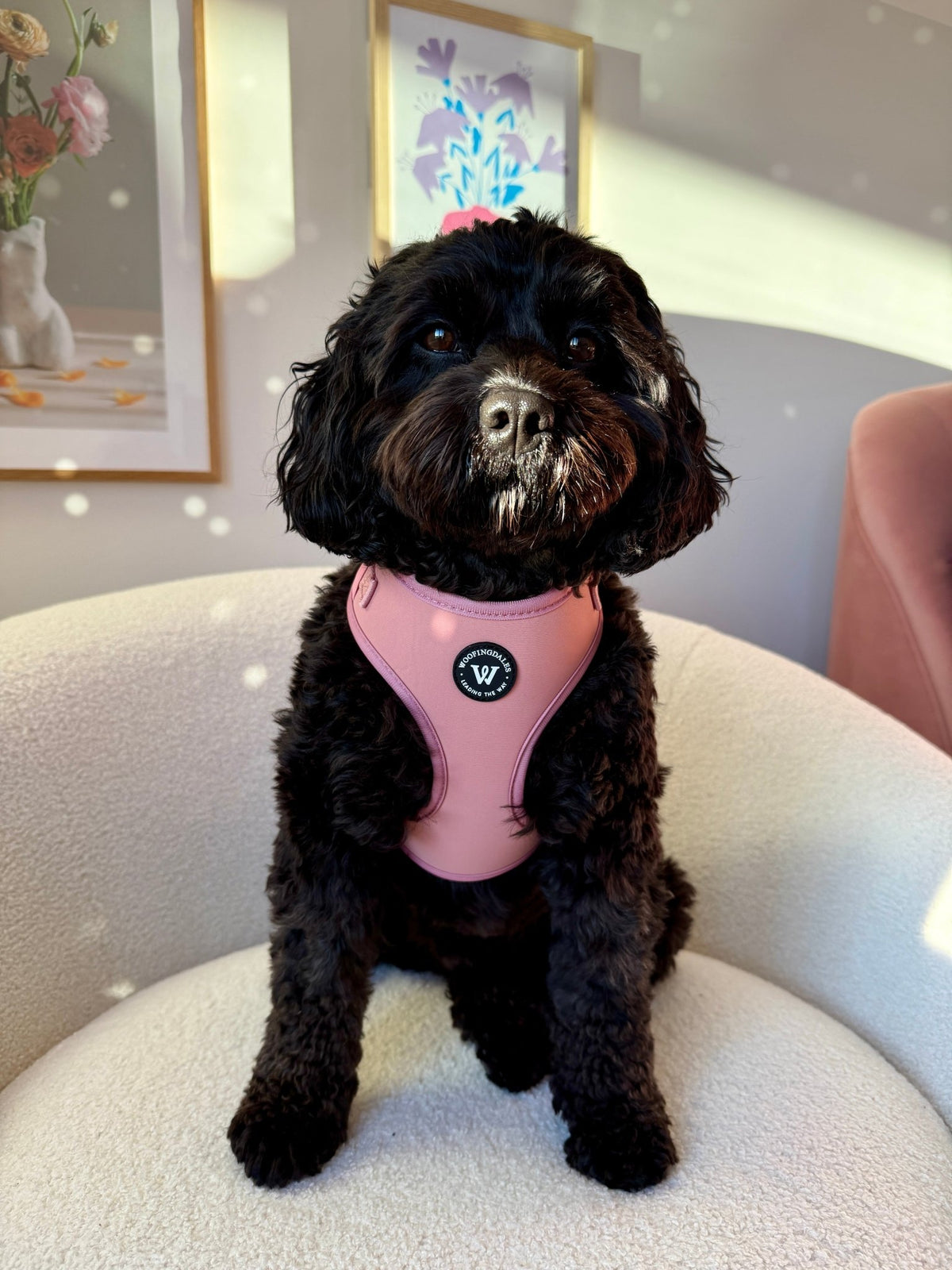 Peak Paws Adjustable Harness - Dusty Pink - Woofingdales.co.uk