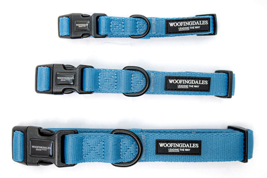 Peak Paws Collar - Blue - Woofingdales.co.uk