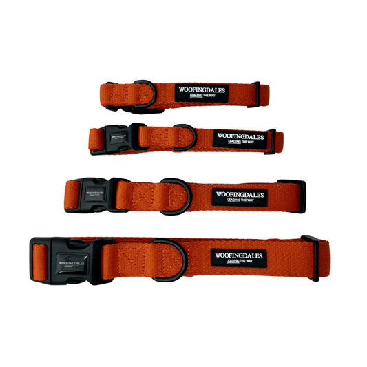 Peak Paws Collar - Burnt Orange - Woofingdales.co.uk