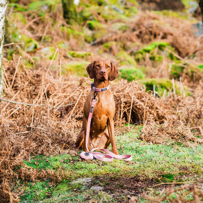 Peak Paws Collar - Dusty Pink - Woofingdales.co.uk