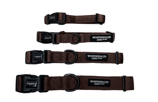 Peak Paws Collar - Espresso - Woofingdales.co.uk