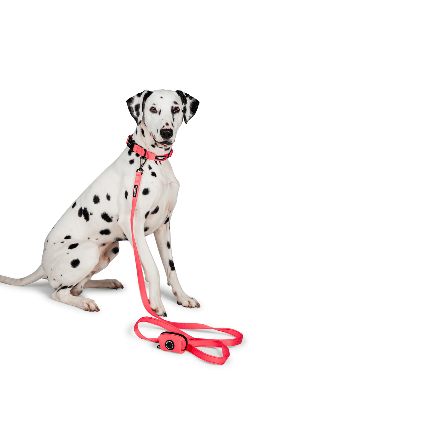 Peak Paws Collar - Fuchsia Pink - Woofingdales.co.uk