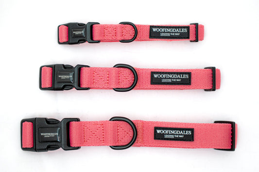 Peak Paws Collar - Fuchsia Pink - Woofingdales.co.uk