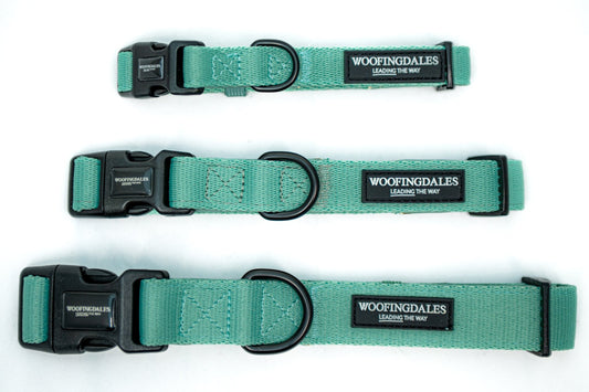 Peak Paws Collar - Green - Woofingdales.co.uk