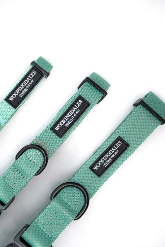 Peak Paws Collar - Green - Woofingdales.co.uk