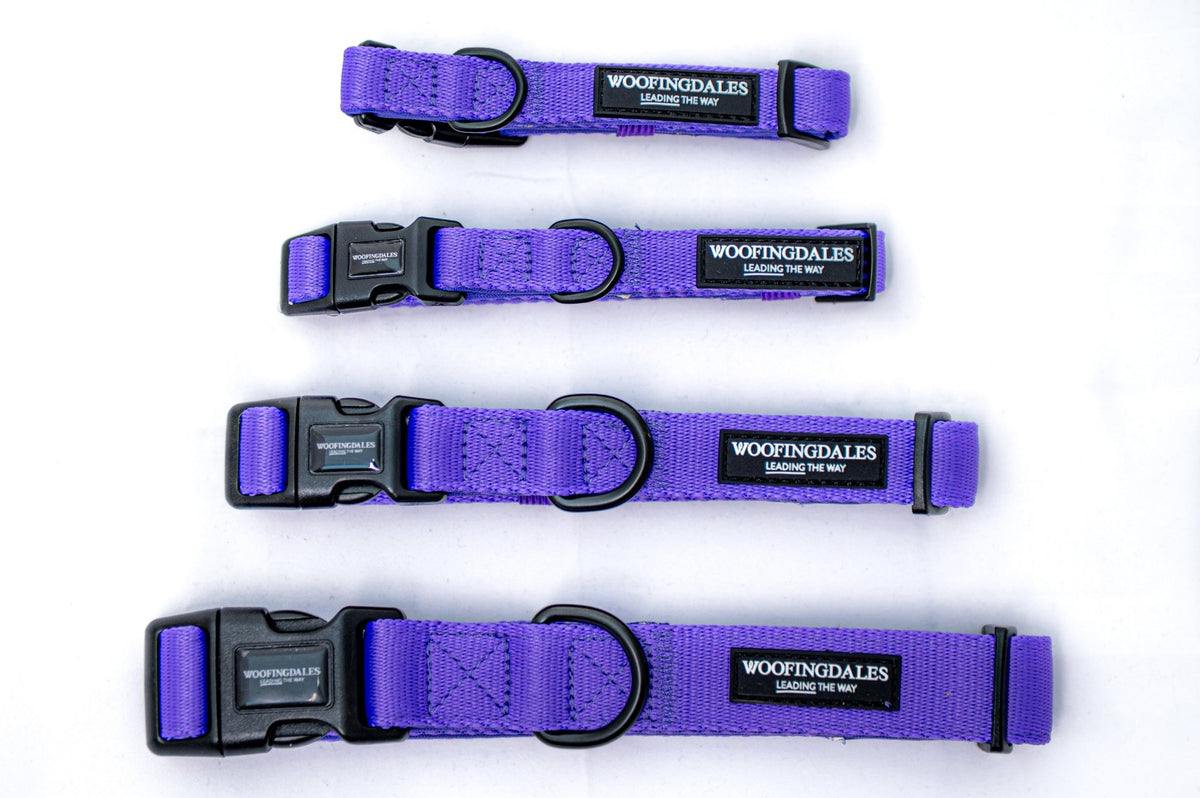 Peak Paws Collar - Violet - Woofingdales.co.uk